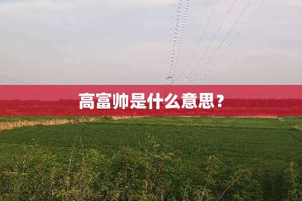 高富帅是什么意思？