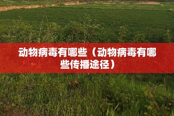 动物**有哪些（动物**有哪些传播途径）