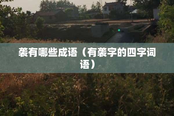 袭有哪些成语（有袭字的四字词语）