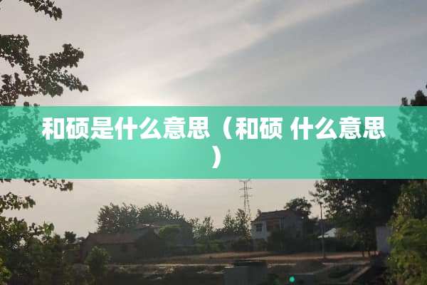 和硕是什么意思（和硕 什么意思）