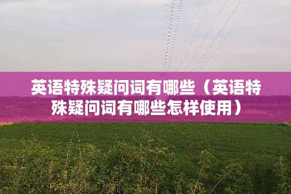 英语特殊疑问词有哪些（英语特殊疑问词有哪些怎样使用）