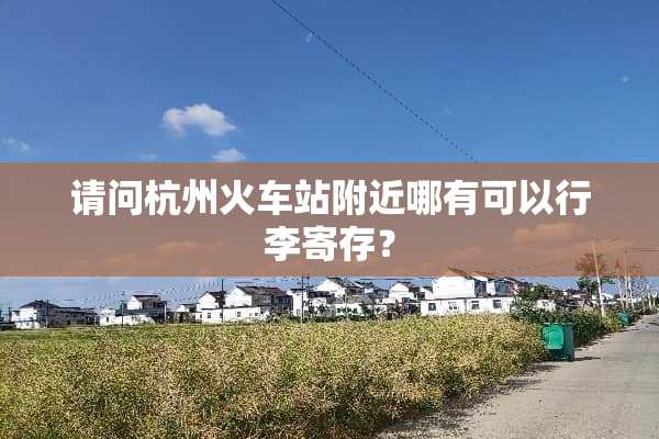 请问杭州火车站附近哪有可以行李寄存？