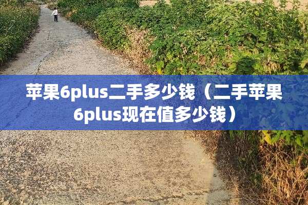 苹果6plus二手多少钱（二手苹果6plus现在值多少钱）
