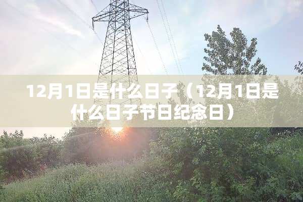 12月1日是什么日子（12月1日是什么日子节日纪念日）