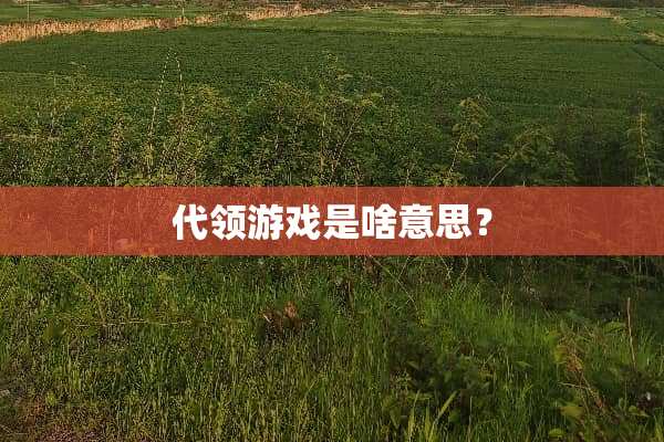 代领游戏是啥意思？