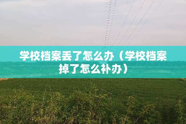 学校档案丢了怎么办（学校档案掉了怎么补办）
