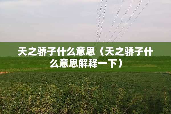天之骄子什么意思（天之骄子什么意思解释一下）