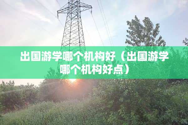 出国游学哪个机构好（出国游学哪个机构好点）