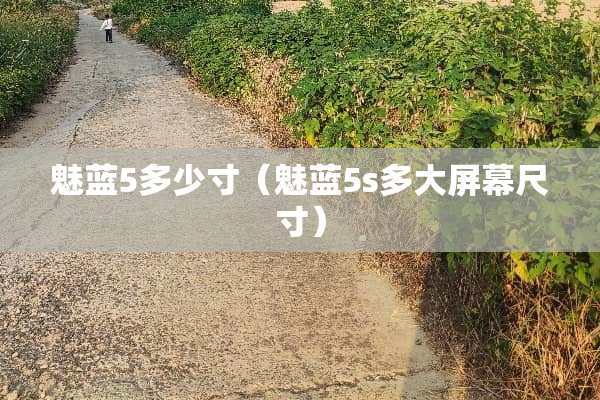 魅蓝5多少寸（魅蓝5s多大屏幕尺寸）