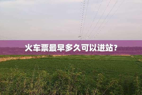 ***最早多久可以进站？