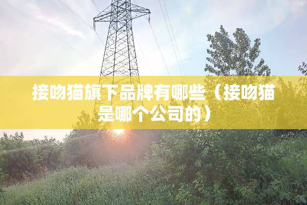接吻猫旗下品牌有哪些（接吻猫是哪个公司的）