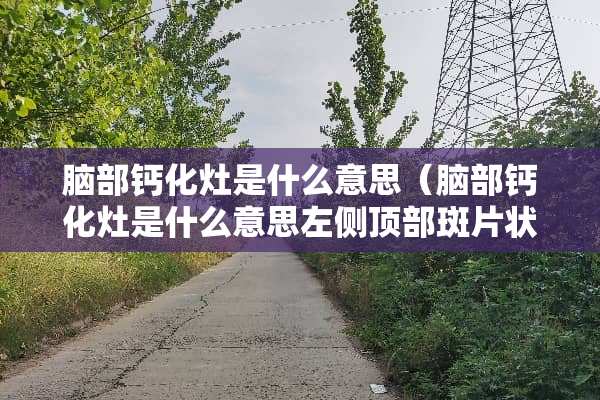 脑部钙化灶是什么意思（脑部钙化灶是什么意思左侧顶部斑片状高密度影）