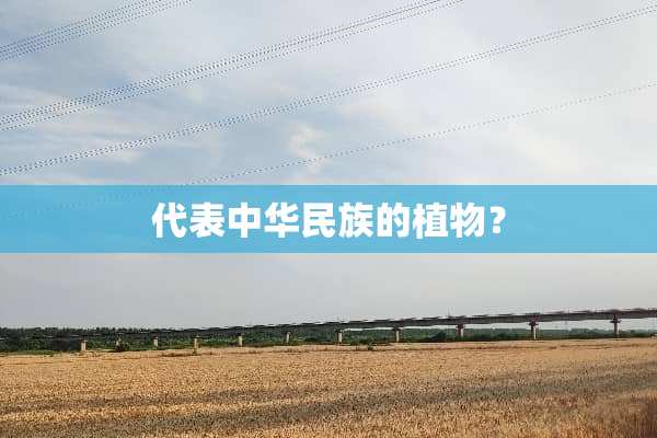 代表中华民族的植物？