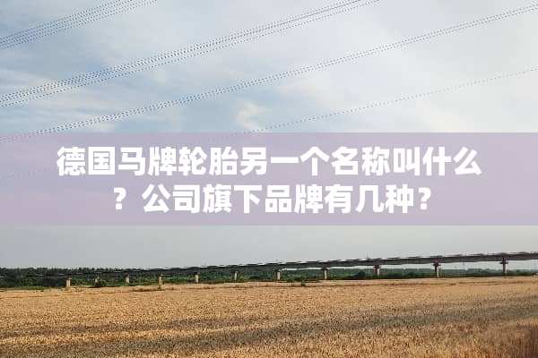 德国马牌轮胎另一个名称叫什么？公司旗下品牌有几种？