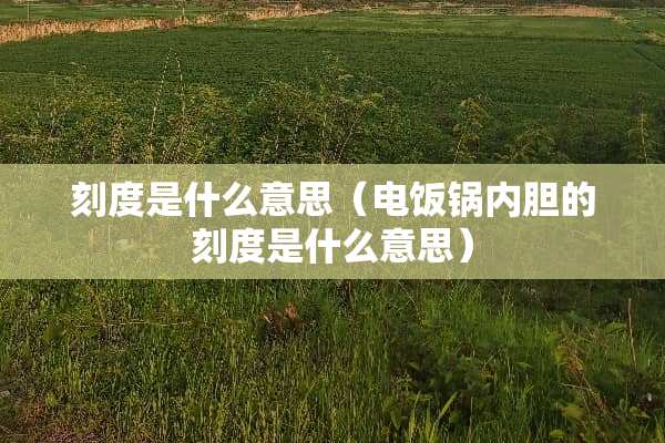 刻度是什么意思（电饭锅内胆的刻度是什么意思）
