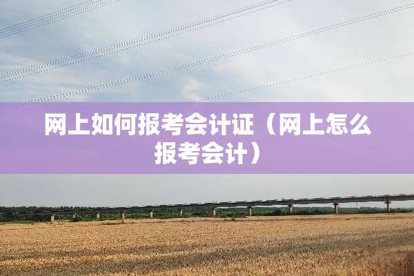 网上如何报考***（网上怎么报考会计）