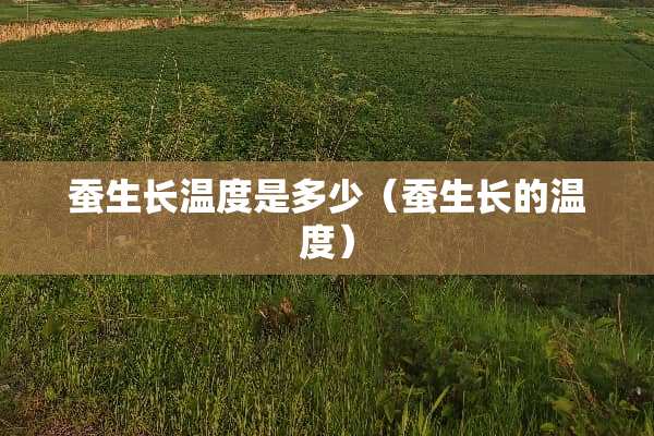 蚕生长温度是多少（蚕生长的温度）