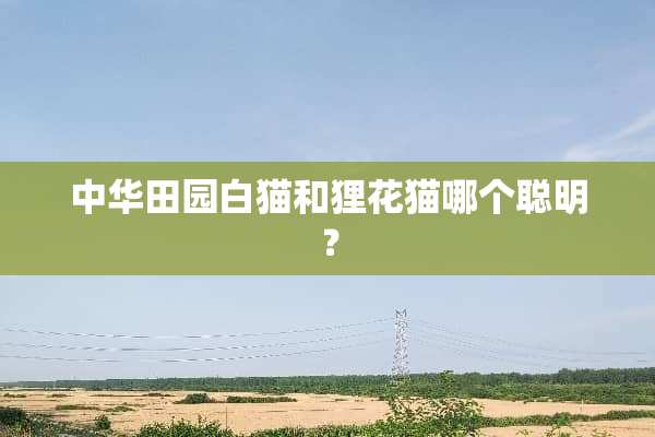 中华田园白猫和狸花猫哪个聪明？