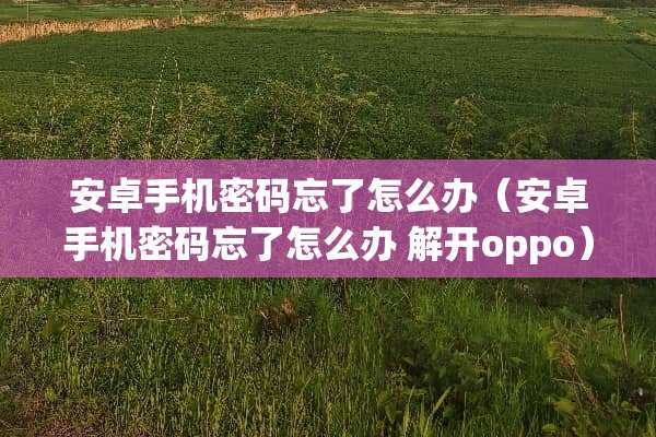 安卓手机密码忘了怎么办（安卓手机密码忘了怎么办 解开oppo）