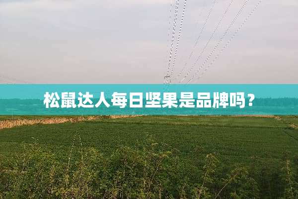 松鼠达人每日坚果是品牌吗？