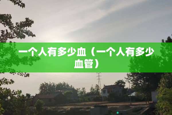 一个人有多少血（一个人有多少血管）