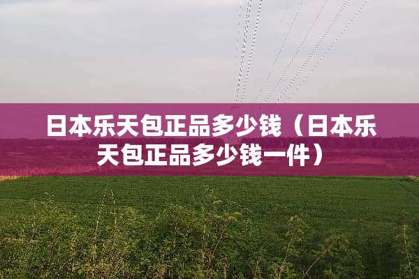 日本乐天包正品多少钱（日本乐天包正品多少钱一件）