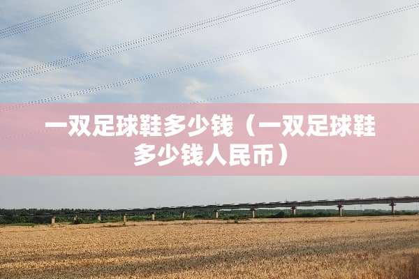 一双**鞋多少钱（一双**鞋多少钱人民币）