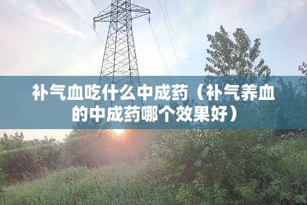 补气血吃什么中成药（补气养血的中成药哪个效果好）