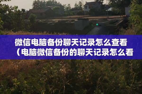 微信电脑备份聊天记录怎么查看（电脑微信备份的聊天记录怎么看）