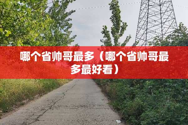 哪个省帅哥最多（哪个省帅哥最多最好看）