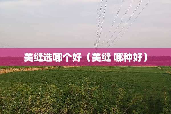 美缝选哪个好（美缝 哪种好）