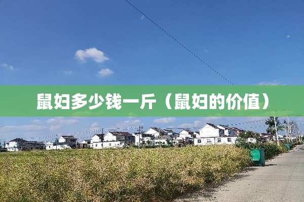 鼠妇多少钱一斤（鼠妇的价值）