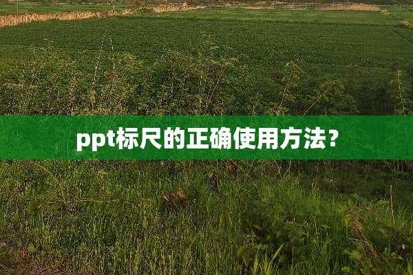 ppt标尺的正确使用方法？