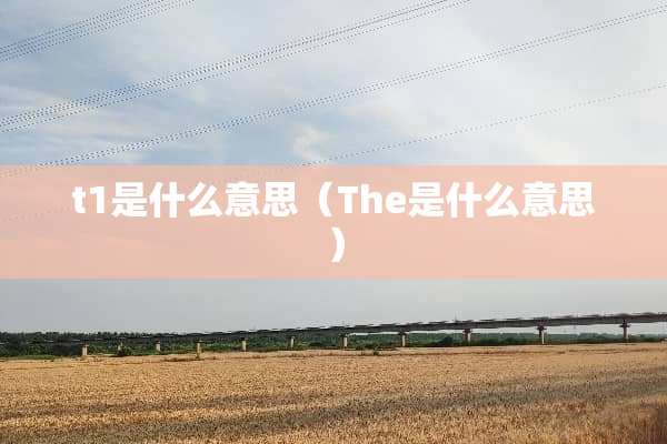 t1是什么意思（The是什么意思）