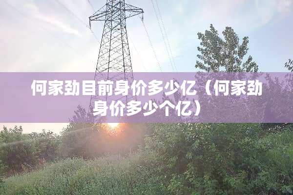 何家劲目前身价多少亿（何家劲身价多少个亿）