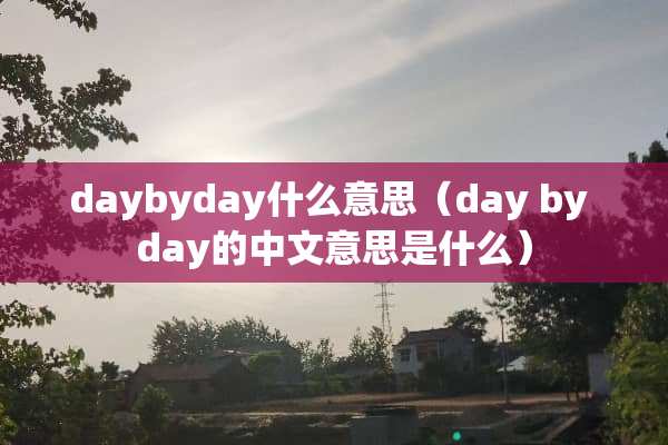 daybyday什么意思（day by day的中文意思是什么）