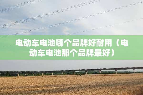 电动车电池哪个品牌好耐用（电动车电池那个品牌最好）