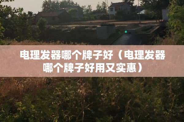电理发器哪个牌子好（电理发器哪个牌子好用又实惠）