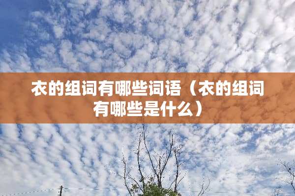 衣的组词有哪些词语（衣的组词有哪些是什么）