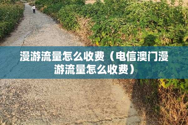 漫游流量怎么收费（电信**漫游流量怎么收费）
