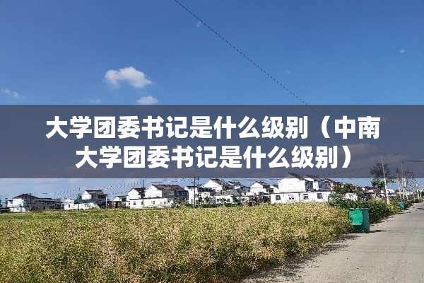 大学团委**是什么级别（中南大学团委**是什么级别）