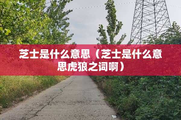 芝士是什么意思（芝士是什么意思虎狼之词啊）
