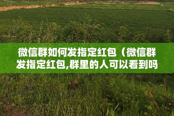 微信群如何发指定红包（微信群发指定红包,群里的人可以看到吗?）