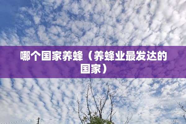 哪个国家养蜂（养蜂业最发达的国家）
