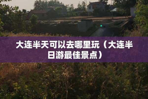 大连半天可以去哪里玩（大连半日游最佳景点）
