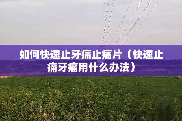如何快速止牙痛止痛片（快速止痛牙痛用什么办法）