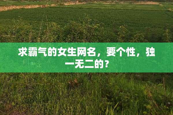 求霸气的女生网名，要个性，独一无二的？