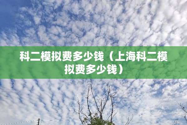 科二模拟费多少钱（上海科二模拟费多少钱）