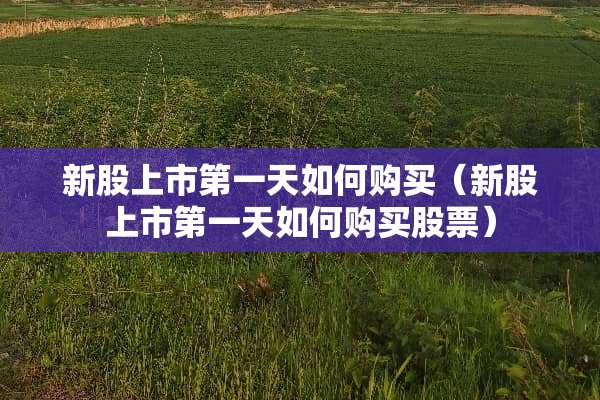 新股上市第一天如何购买（新股上市第一天如何购买股票）