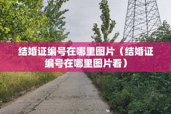 结婚证编号在哪里图片（结婚证编号在哪里图片看）
